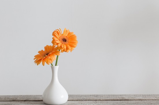 flower and white vase