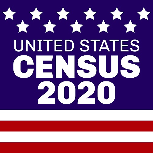 census 2020 2