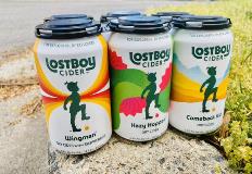 lost boy can