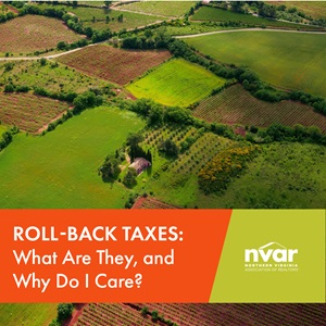0612_TheSource_Tiles_Roll-Back Taxes 2