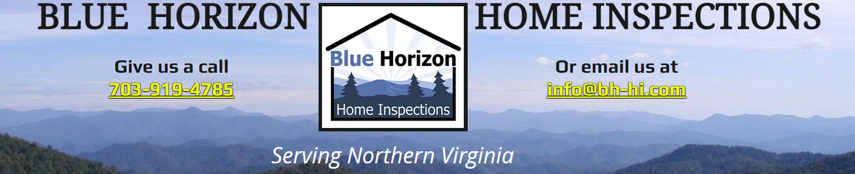 Blue Horizon Banner