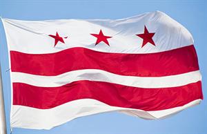 dc flag