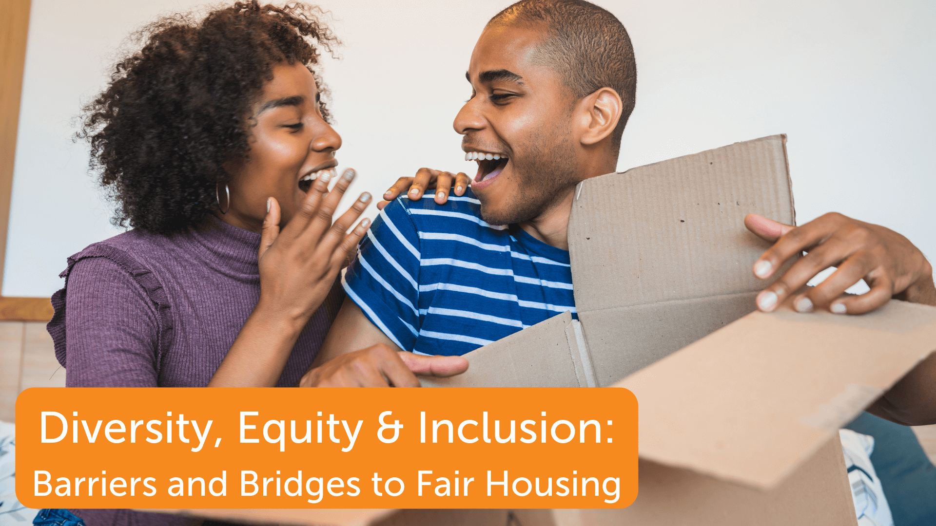Diversity, Equity &amp; Inclusion Barriers and Bridges to Fair Housing (1)