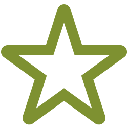 star icon