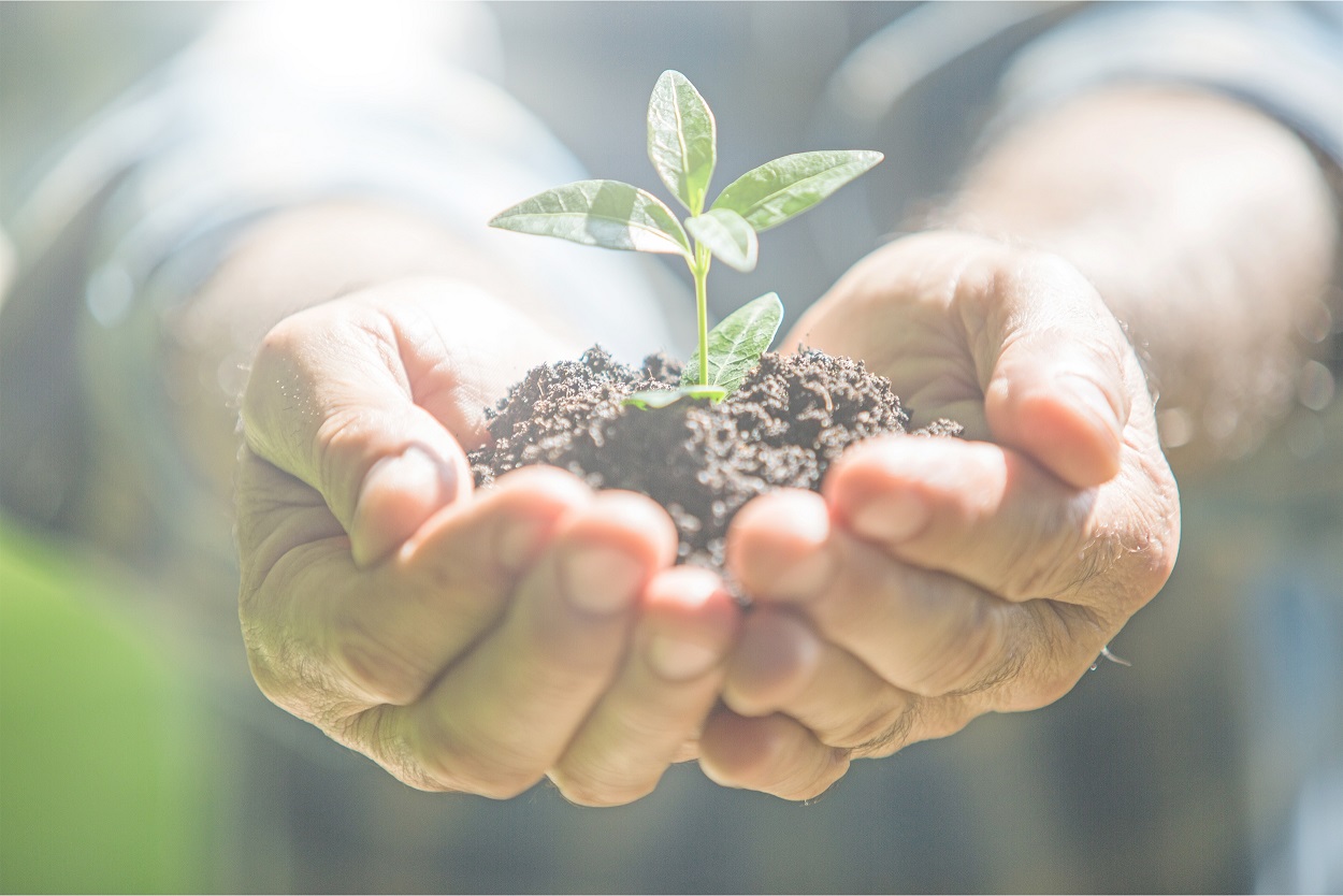 plant-environment-hands-nature