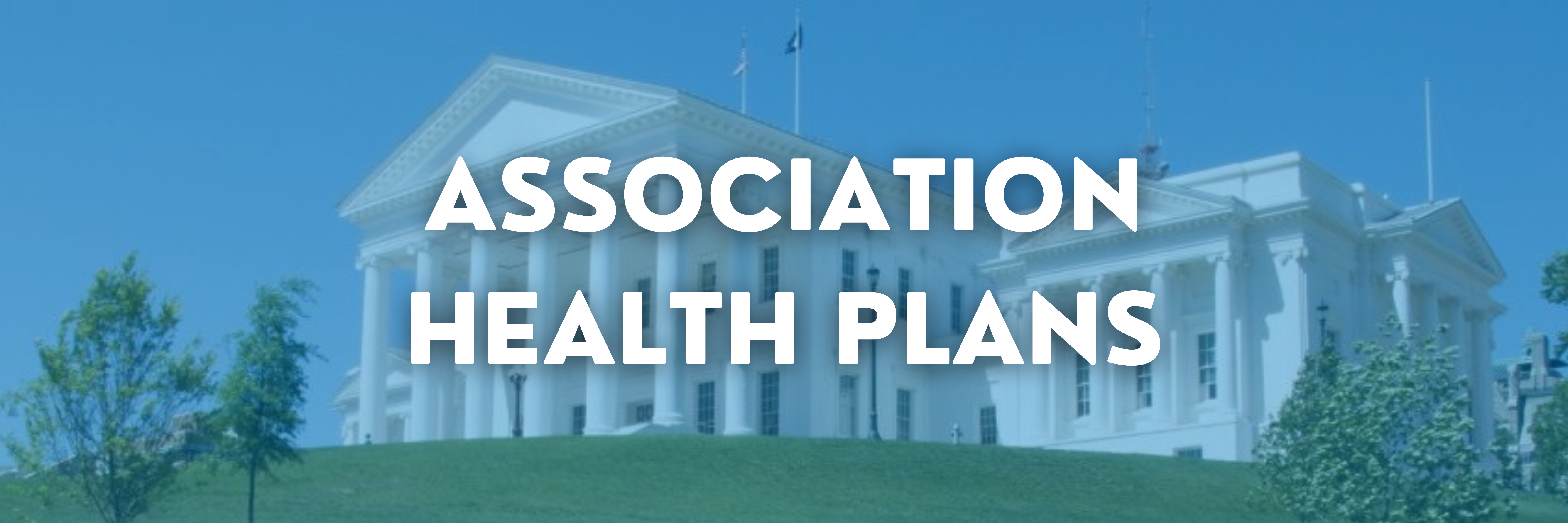 STATE - ASSOCIATION HEALTH PLANS