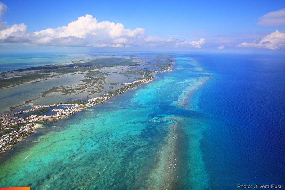 tropical belize tropical belize