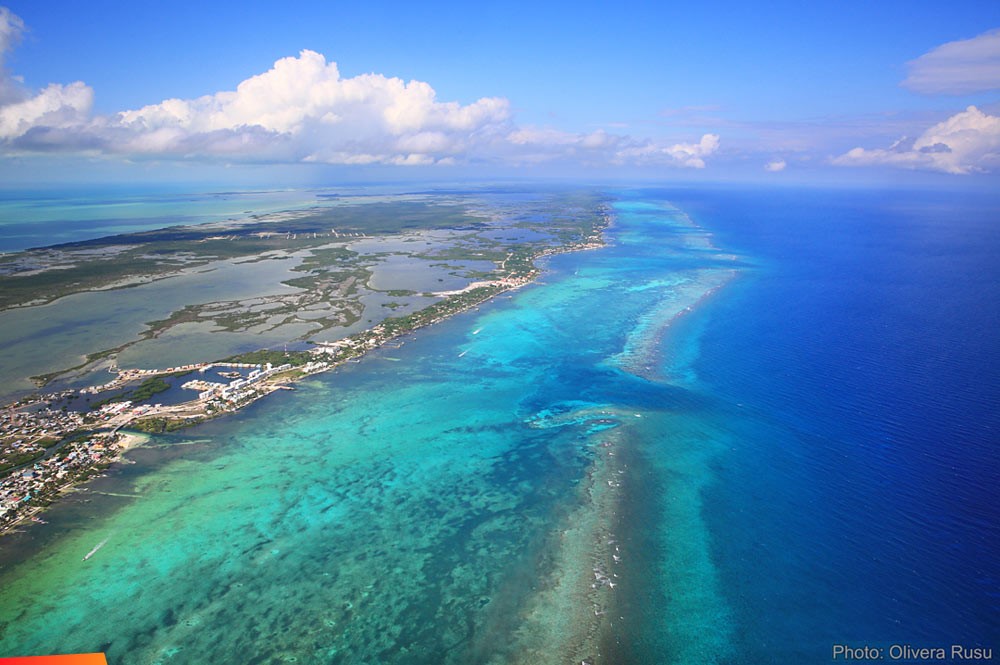 tropical belize