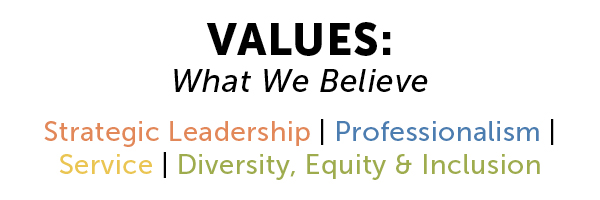 Values-large logo (2021)