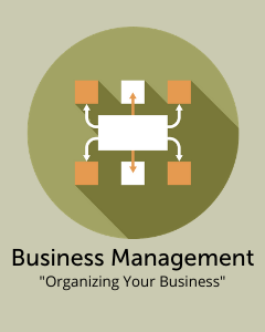 biz management