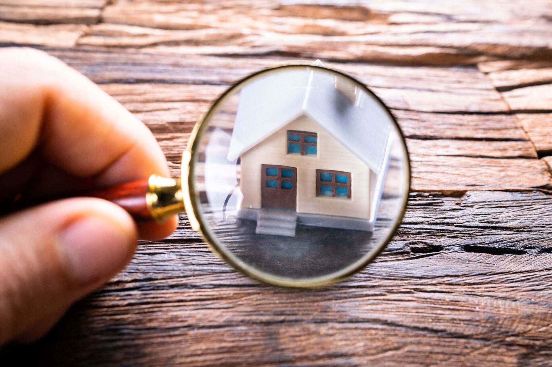 Appraisal — Service Providers - Image
